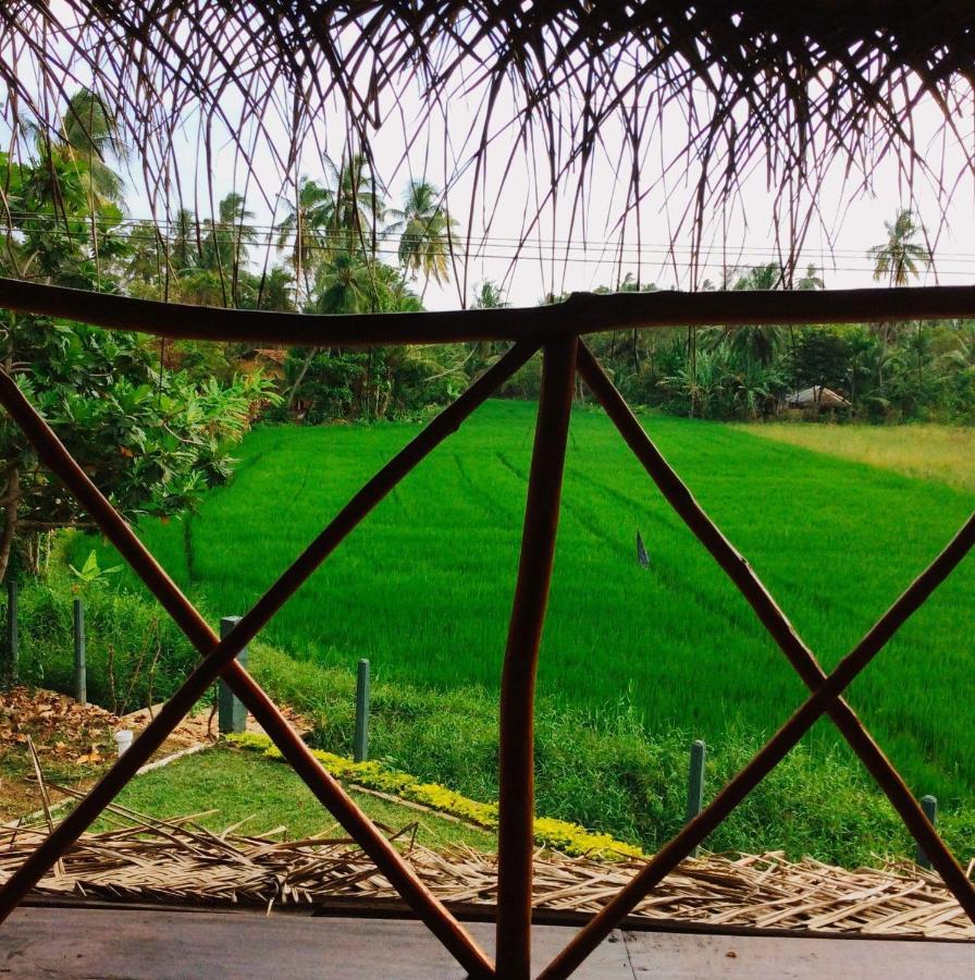The Green View Yala Tissamaharama Eksteriør bilde