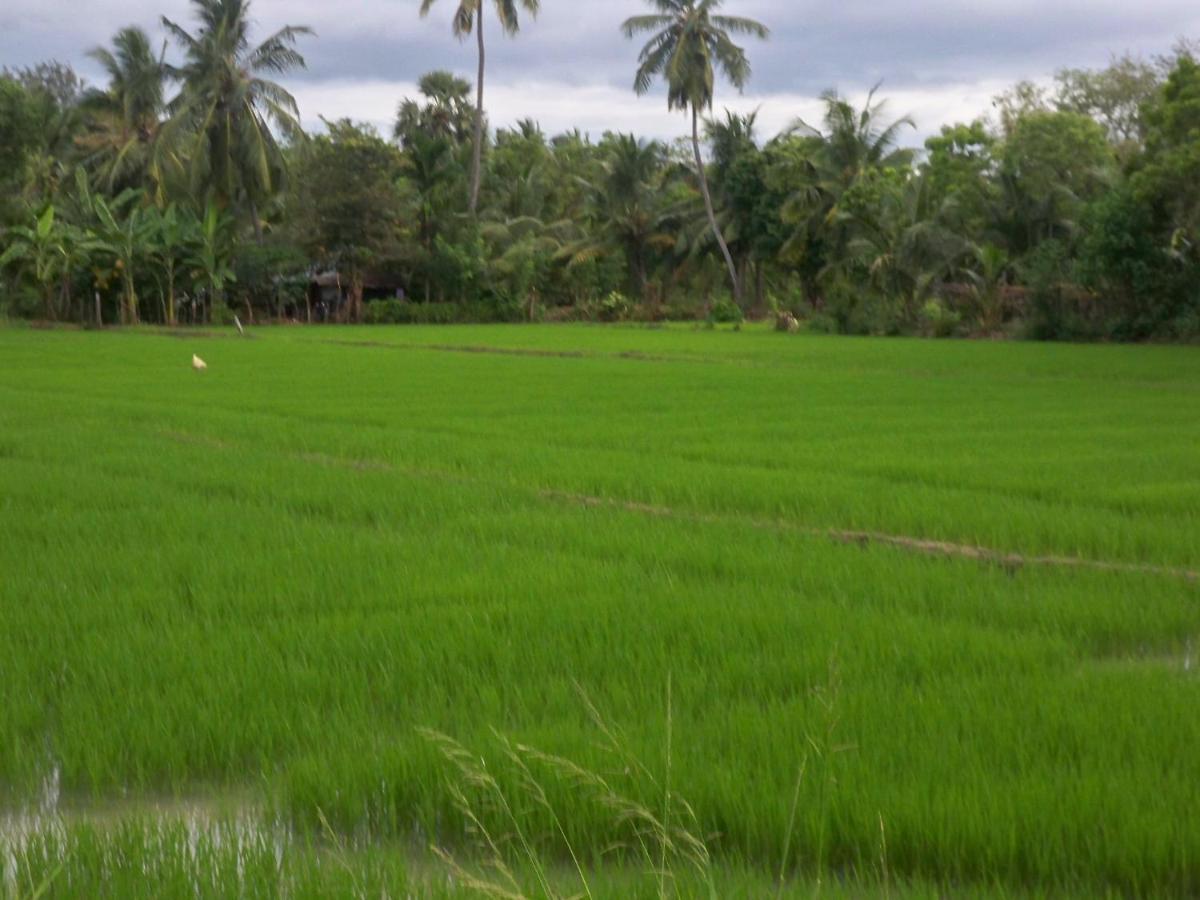 The Green View Yala Tissamaharama Eksteriør bilde